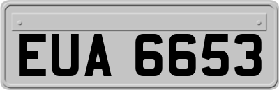 EUA6653