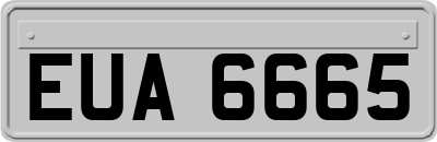 EUA6665
