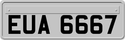 EUA6667