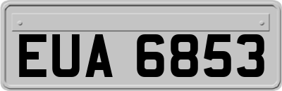 EUA6853