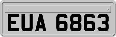 EUA6863