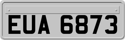 EUA6873