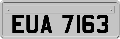 EUA7163