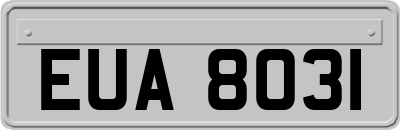 EUA8031