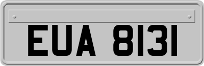 EUA8131
