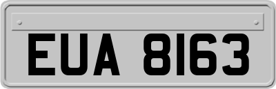 EUA8163