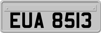 EUA8513