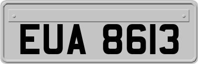 EUA8613