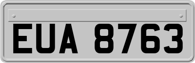 EUA8763