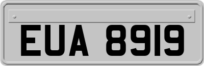 EUA8919