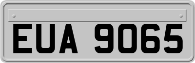 EUA9065