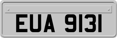 EUA9131