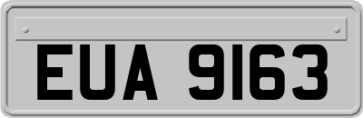EUA9163
