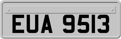 EUA9513