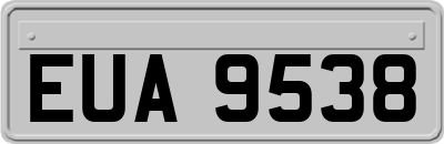EUA9538