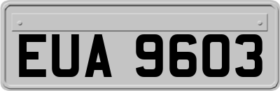 EUA9603