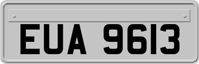EUA9613