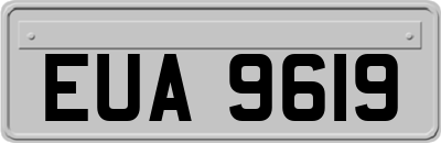 EUA9619
