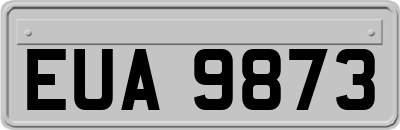 EUA9873