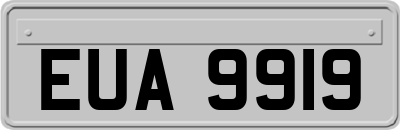 EUA9919