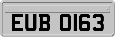 EUB0163