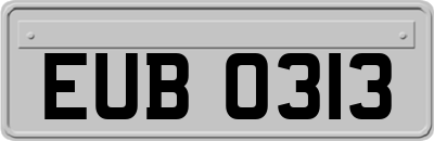 EUB0313