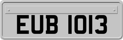 EUB1013