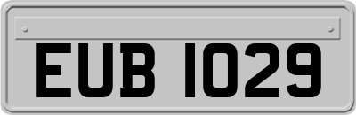 EUB1029