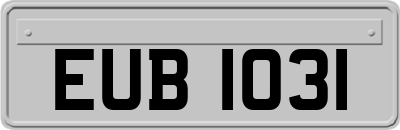 EUB1031