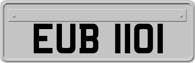 EUB1101