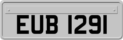 EUB1291
