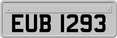 EUB1293