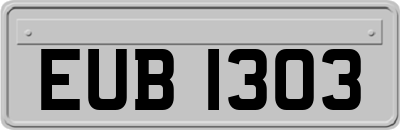 EUB1303