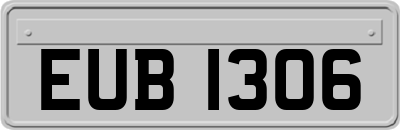 EUB1306