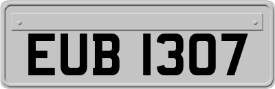 EUB1307