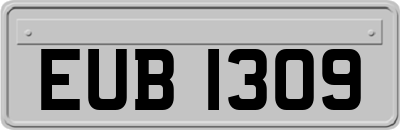 EUB1309