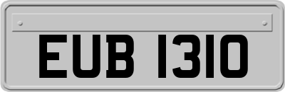 EUB1310