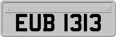EUB1313