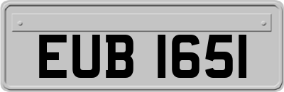EUB1651