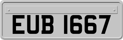 EUB1667