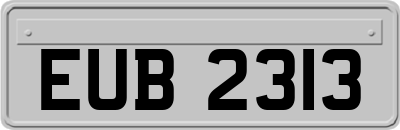 EUB2313