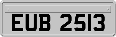 EUB2513