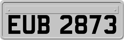 EUB2873