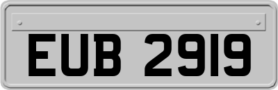 EUB2919