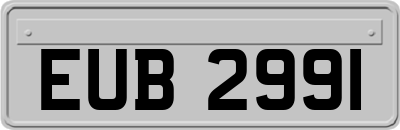 EUB2991