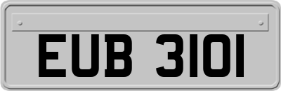 EUB3101