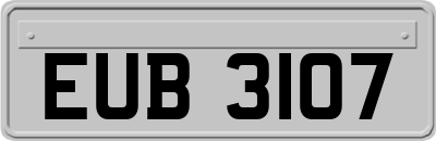 EUB3107