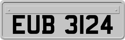 EUB3124