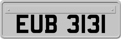EUB3131