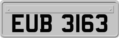 EUB3163
